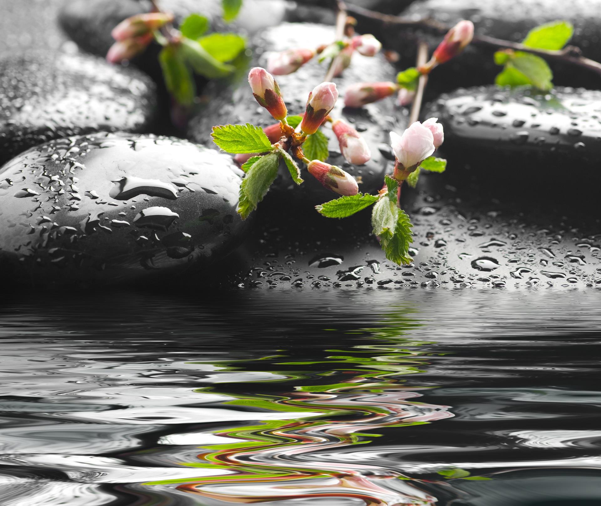 The earth laughs in flowers